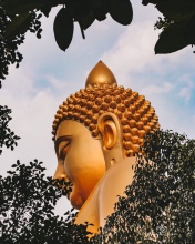 https://zingnews.vn/di-thai-lan-khong-can-khau-trang-noi-cong-cong-tu-17-post1327307.html